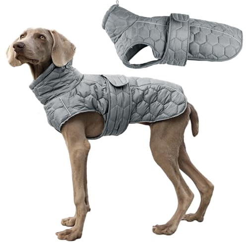 Aiboria Hundejacke Warme Hundemantel Winter Reflektierende Mittelgroße Welpen Hundepullover Fleece Winddichte Haustier Wintermantel Weste mit Gurtloch Grau S