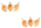 Amosfun 100 Stk hochzeitsdeko hochzeits dekoration party sachen Popsockey Fingerfood-Hütchen lebensmittel Eisbecher Eistüten Essensbox Container Sushi-Box Shuixinxuan-Kuchen Bambus