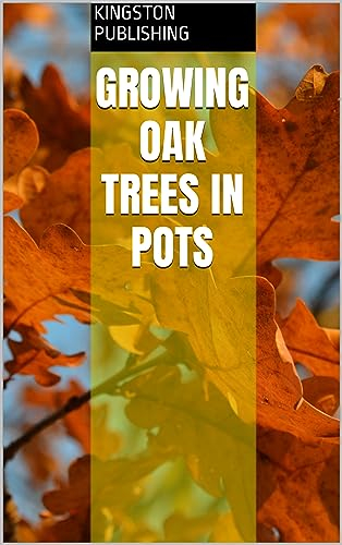 Growing Oak Trees in Pots (Ornamental Plants)