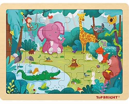 TOP BRIGHT 24 Piece Childrens Jigsaws Puzzles for Ages 3 4 5, Forest Animals Wooden Toddler Puzzle for 2 3 4 Year Old Kids