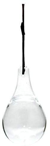 Esschert Design Fliegenfalle aus Glas, Ø 11 x 20 cm, 825 ml, mit Aufhänge-Kordel, ohne Giftstoffe, Schnur 60 cm