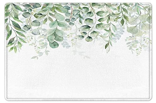 LB Eukalyptus Baum Badematte Grün Blatt Fußabtreter 60x40cm Aquarell Pflanze Weiß rutschfest Weich Saugfähig Waschbar Bodenmatte zum Tür Bad Schlafzimmer Innen Dekoration