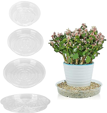 Haofy 20pcs Plateau de Soucoupe de Plante, Plateau de Pot de Fleur de Soucoupes de Plante Transparente en Plastique, Soucoupes de Plante pour L'intérieur Extérieur