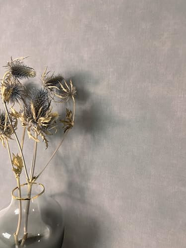 NEWROOM Papier peint Gris Couleur Unie Intissé - Moderne Gris Foncé Structure Monochrome Couleur Unie