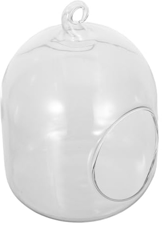 Gatuida Flaschen Terrarium Terrarienbehälter Aus Glas Für Sukkulenten Moos Und Kleine Pflanzen Mini-glasterrarium Als Dekoration Für Schreibtisch Oder Fensterbrett Pflegeleicht Und