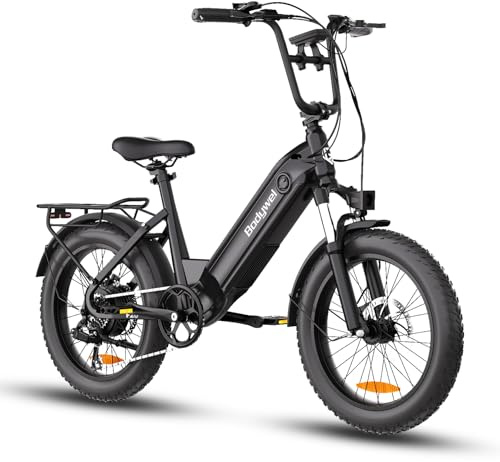 Bici Elettrica Adulto 48V 13.5AH Batteria Rimovibile 250w Motore Con 20×3.0 Fat Tire Bicicletta Elettrica, Velocità 25KM/H,Autonomia massima di 90 km Città Pendolare Ebike per Ogni Terreno UomoDonna