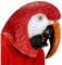 W WIDMANN MILANO Party Fashion - Ganzkopfmaske, Tiermaske, für Karneval, Mottoparty