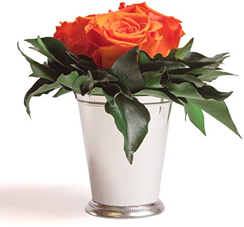 ROSEMARIE SCHULZ Heidelberg Infinity Blumen in silberfarbenen Becher 3 konservierte Rosen langhaltend (Orange, 3 Rosen)
