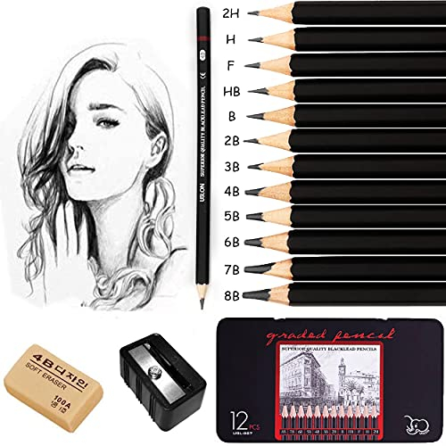 Surcotto Drawing pencils, professional sketching pencils set for beginner, artist pencils with eraser and sharpener (8B-2H). (14-Count)
