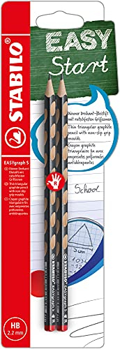 STABILO EASYgraph S Metallic - Matita Ergonomica triangolare Sottile - per Destrimani in Grigio metallizzato - Pack da 2 - Gradazione HB