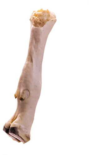 Doodles Deli Air Dried Goat Foot Natural Dog Chew, 1 kg | Naturally High Protein, Essential Amino Acids, Supports Dental Health, Healthy Dog Treat
