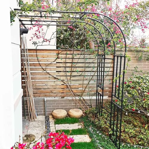 MISKYN Demi-Arche De Jardin Arceau Rosier Grimpant 90X240x40cm Arche en Métal Stable Tonnelle Arcade pour Diverses Plantes Grimpantes, Jardin Extérieur, Noir/Blanc,Noir,240 * 240cm
