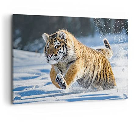 ARTTOR Bilder auf Leinwand 120x80cm Wandbild Natur Tiere - 3928 | Tiger Tier Groß XXL Wanddekoration Wohnzimmer Schlafzimmer Küche Wanddeko Wand Kunstdruck Wandkunst Wall Decor ARTTOR