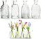 12 x kleine Vasen aus Glas Vintage - Blumenvasen Tischvasen Glasvasen Dekoflaschen Glasflaschen Glasfläschchen Deko-Flaschen (Modell 2, H 13,5 cm - Ø 6,5 cm)