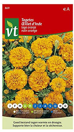 Œillet d'Inde Nain orange Graines - Fleurissent sans interruption jusqu’aux gelées