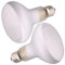 AIICIOO Ampoule infrarouge - Lampe chauffante rouge Pet Light pour reptiles et amphibiens, lot de 100 W, blanc