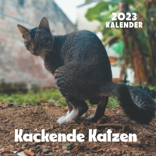 Kackende Katzen Kalender: kalender 2023 - 8.5x8.5 inches - Geschenke für Familie und Freunde