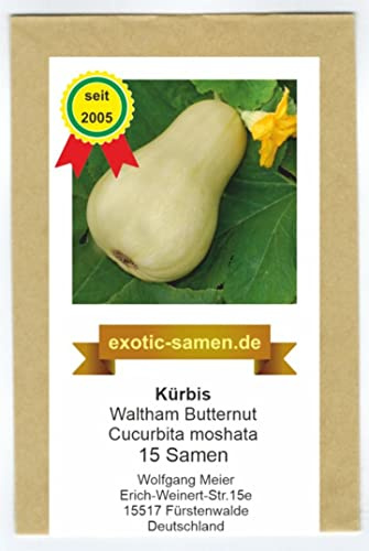 Speisekürbis - Waltham Butternut - 15 Samen