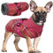 Wasserdichter Hundemantel Winter Warme Hundejacke, Hundebekleidung Outfit für kleine mittel große Hunde, Hundepullover mit Sicheren Reflexstreifen für Labrador Chihuahua Französische Bulldogge