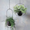 ARSBORUI Hängend Blumenampel Metall Blumentopf Schwarz Pflanzenampel Modern Deko Hängeblumentopf Hängeampel für Innen Außen Decken Balkone Wanddekoration (Rund+Oval)