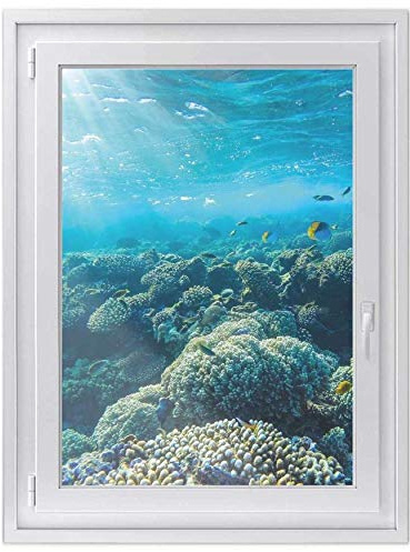Fensterfolie Sonnenschutz I Hochwertige Folie für Fenster - selbsthaftend I Dekofolie für Bad, Küche, Kinderzimmer - Wasserfest, Beständig - Made in Germany
