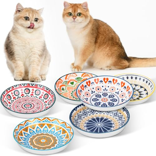 Otauoaea Gamelle Chat, 6 Pièces Colorés Gamelle en Céramique pour Chats, Gamelle pour Chat Bol Chaton Assiette Chat pour la Nourriture et l'eau, Bol pour Chat et Chien 250ML