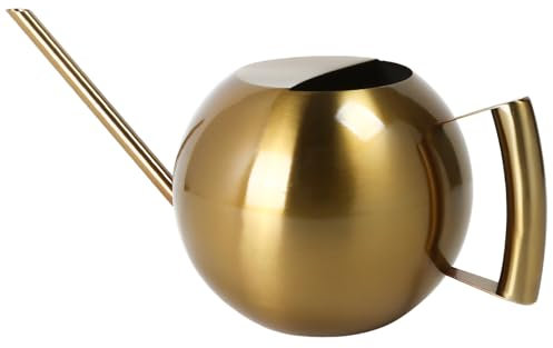 Chemlliy Arrosoir avec long bec et poignée confortable, petit arrosoir de 1000 ml pour plantes d'intérieur, pot d'arrosage de jardin en acier inoxydable pour plantes d'intérieur, bonsaï, fleur
