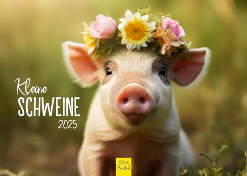 Edition Seidel Premium Kalender Kleine Schweine 2025 Format DIN A4 Wandkalender Tierkalender heimische Tiere Schwein Schweinchen Ferkel Frischling Wildschwein
