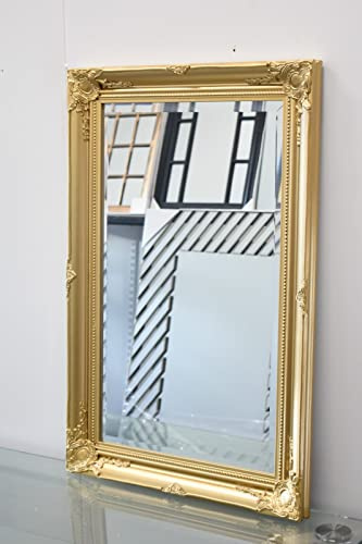 DEENZ Large Vintage Silver Gold Ornate Leaner Wall Hanging Mirror Deep Frame, Bedroom Décor Wooden Flowery Design (Gold 60x90cm)