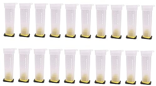 OFFSCH Bienenzucht Essential 30er-Pack Bienenzuchtwerkzeuge Catcher Cage Bienenzuchtbedarf