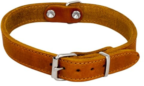 JACK AND VANILLA, Hundehalsband, Modell für fettige Haut, Farbe Cognac, Größe 12 mm x 30 cm