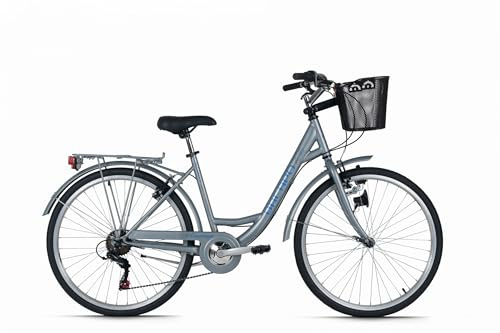 DACAPO Citybike 26'' Cantaloupe mit Korb RH 44 cm (Silber)