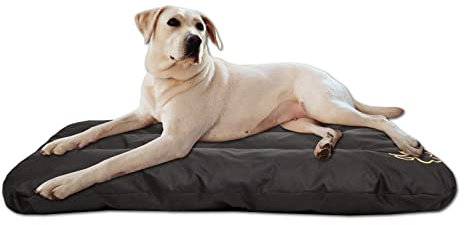 millybo ECO Hundematratze, Hundebett für Kleine, Mittlere, Große Hunde - wetterfestes Hundekissen, kuscheliges Schaum Tierbett, Outdoor & Robustes Hundematte - 115x80x12 cm Schwarz