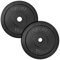 AtHaus® Hantelscheiben 2x 10Kg Set Gusseisen Hantel Gewichte 30/31 mm Ø Guss Scheiben Gusscheiben Hantelscheibe