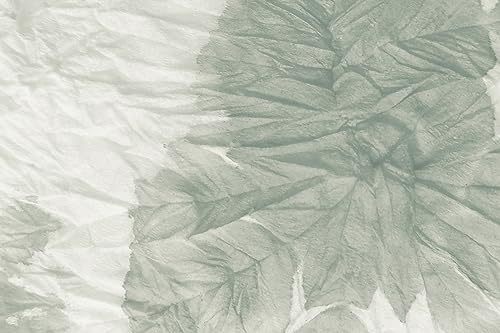 Queence | Küchen Spritzschutz Palmenblatt 80x50x0,3 cm | Küchenrückwand | Alu-DiBond | Fliesenschutz für den Herd und Spüle | Küchenfliesen | Fliesenspiegel | Rückwand