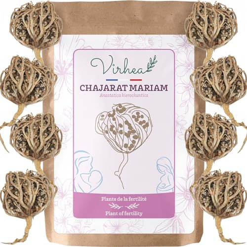 Rose de Jericho Chajarat Mariam x8 - Taille S (Petit) - Plante Favorisant la Fertilité [Satisfait ou Remboursé]…