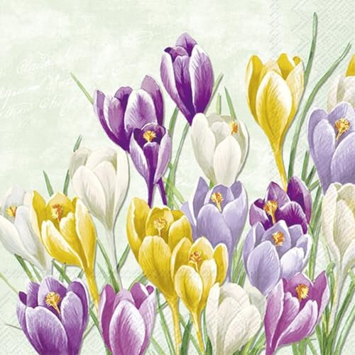 IHR Ideal Home Range - Papierservietten Blooming Crocus light green - Krokusse 20 St. Lunch-Servietten 33 cm x 33 cm