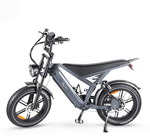 OUXI E-Bike 20 Zoll Fatbike Elektrofahrrad Pedelec, 250W Motor 60Nm, 48V 15Ah Akku 30-60km, Hydraulische Scheibenbremsen, Vollfederung, Blinker & LED-Licht, Herren Damen (Grau)