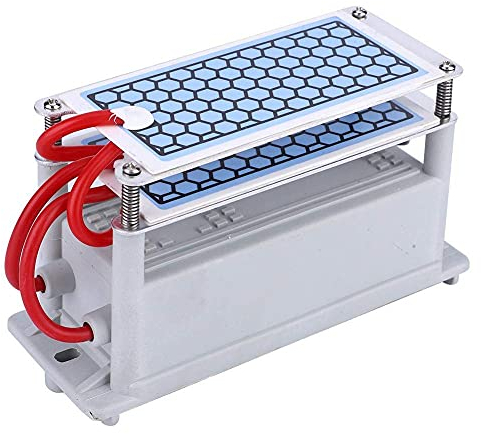Generador de Ozono 10g Purificador de Aire para el Hogar Ozonizador Limpiador de Aire Esterilización Olor(220V)