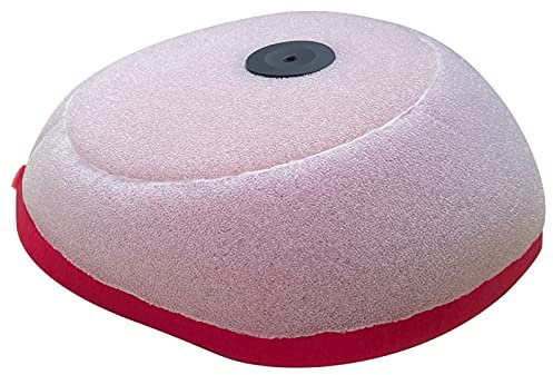 Filtro aria moto cleaner per B.E.T.A RR 125 250 300 2T 350 390 400 400 480 498 500 4T 2013-2019 RR125 RR250 RR300 RR400 RR450 (Color : A)