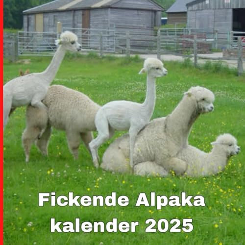 Fickende alpaka kalender 2025