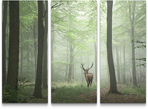 Paul Sinus Art Leinwandbilder | Bilder Leinwand 130x90cm Hirsch im Wald