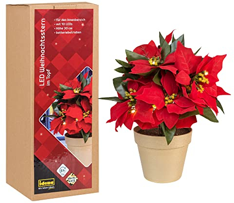 Idena 30259 - Deko-Weihnachtsstern mit 10 LED in Warmweiß, ca. 30 cm hoch, im Topf, mit 6 Stunden Timer-Funktion, batteriebetrieben, Deko für Innen, als Winter-, Advents- und Weihnachtsdeko