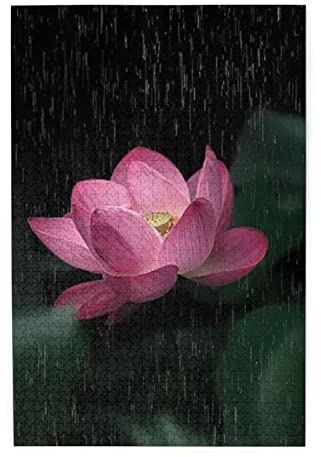 Lotusblumen-Puzzles sind geeignet für Erwachsene und Jungen und Mädchen. 1000-teiliges Puzzle