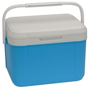 AAOBOSI 5,5L Kühlbox Auto, Tragbare Isolierte Box, Unterstützt Lang Anhaltende Frische, Kalt und Warm Zwei Zwecke, Geeignet für eine Vielzahl von Fahrzeugen, Familie Picknick und Outdoor-Camping