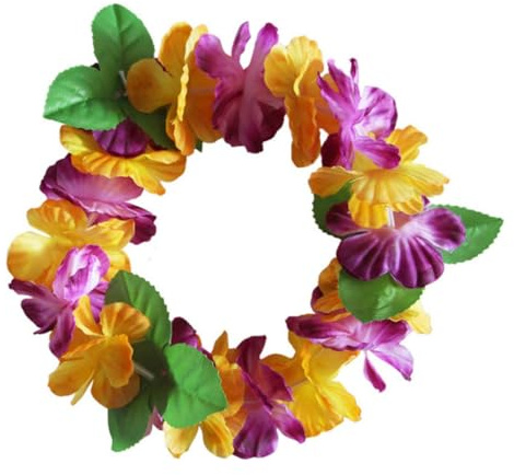 NOLITOY 6sätze Stirnband Set Mit Hawaiiblumenkranz Blumen Haarband Und Armbänder Blumengirlande Für Strandparty Festival Haarband Blumen Stirnband Für Fotografie-requisiten Armbänder Und h