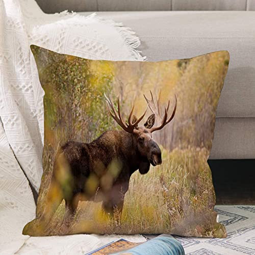 Kissenbezug 45x45 cm,Safari Amerikanische Tiere Elch Wildtier Elch Hirsch im Herbst Wald Na,Outdoor Kissen Kissenbezüge Kissenhülle Sofa Kissen dekokissen Zierkissen für Wohnzimmer Garten deko draußen
