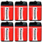 PANASONIC Lot de 6 Blisters de 1 Pile Special Power 4R25X Red Zinc-Carbon 6V