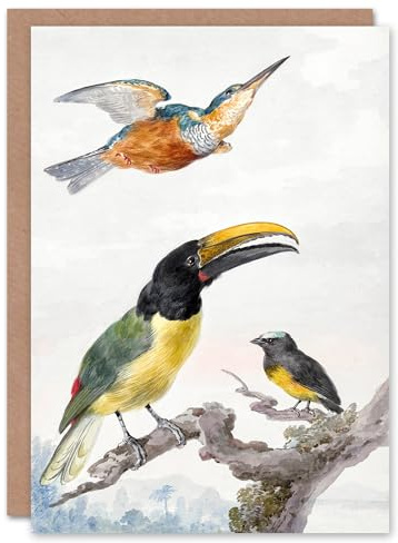 Artery8 Aert Schouman Art Card Kingfisher Toucan Bird and a Sparrow