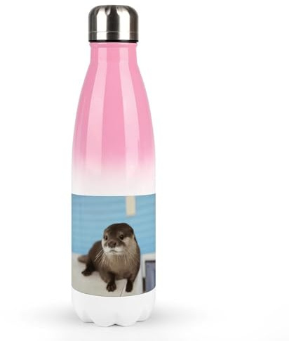 17 Oz Water Bottles Stainless Steel Beverage Bottle Reusable Cute Printing Coke Bottle Perfect For On The Go